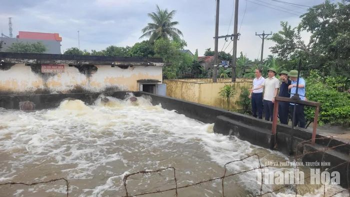 Giám đốc Sở NN&MT Thanh Hóa chỉ đạo các đơn vị thủy lợi tập trung tiêu úng bảo vệ sản xuất.