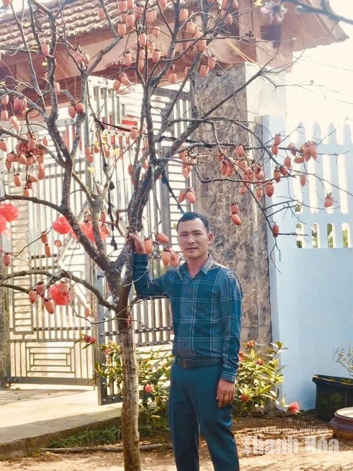 Những cây lâu năm, cành nhánh đẹp, sai quả được rao bán với mức giá hàng trăm triệu đồng.
