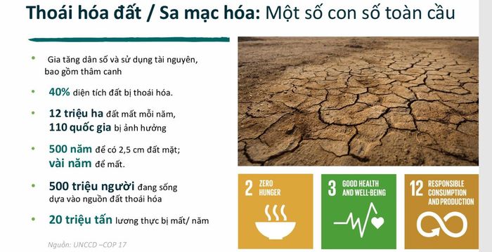 Tình trạng thoái hoá đất trên thế giới. Nguồn: TS Tô Xuân Phúc.