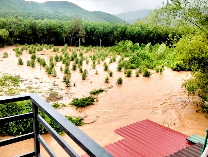 Mưa lũ dâng cao cô lập nhiều khu vực trên địa bàn các xã An Lạc, Tây Yên Tử, Yên Định, Tuấn Đạo.
