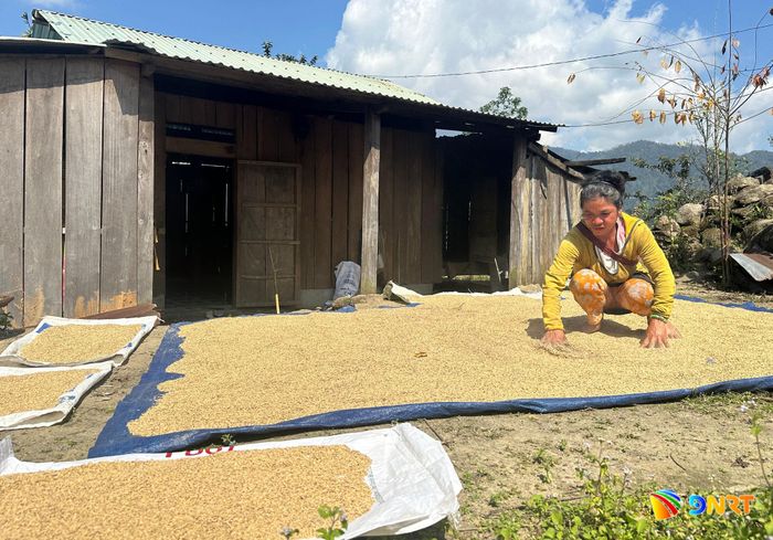Phụ nữ vùng cao khó có cơ hội tiếp cận với việc làm chất lượng. Ảnh: PHAN VINH