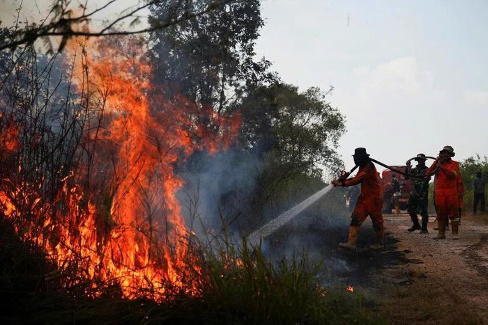 Indonesia đang phải đối mặt với mùa khô kéo dài và khắc nghiệt hơn do hiện tượng El Nino mạnh lên. Ảnh: Reuters