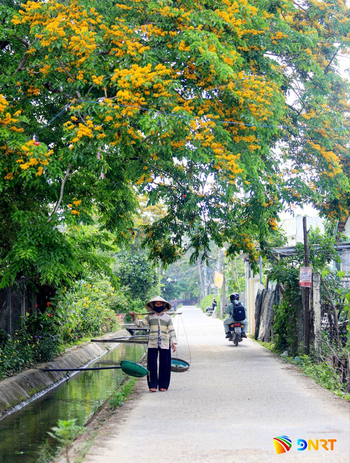 Một góc bình yên ở Vườn Cừa (Tam Kỳ cũ). Ảnh: P. GIANG