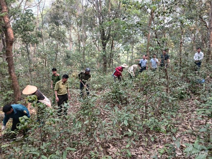 Ban Quản lý rừng phòng hộ, rừng đặc dụng tỉnh cùng người dân tuần tra, kiểm soát bảo vệ rừng.