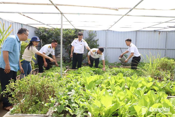 Vườn rau xanh, khu chăn nuôi tại nhà giàn DK1/15.