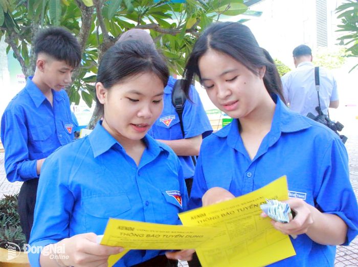 Học sinh, sinh viên tìm hiểu vị trị tuyển dụng các doanh nghiệp. Ảnh: N.Hòa