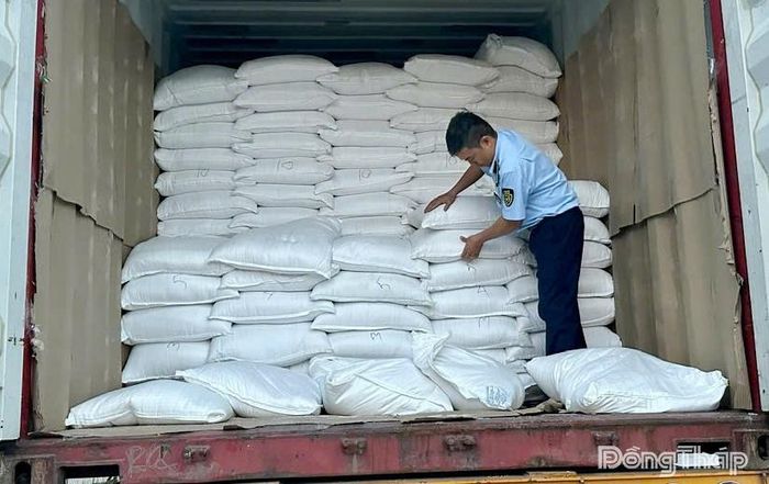 Lực lượng Quản lý thị trường kiểm tra xe tải chứa gạo vi phạm nhãn hàng hóa.