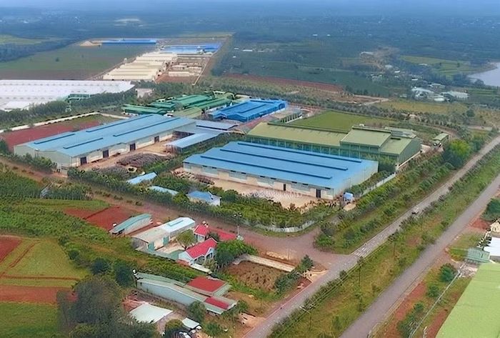 Một góc Khu công nghiệp Trà Đa mở rộng (phường Pleiku). Ảnh: H.D