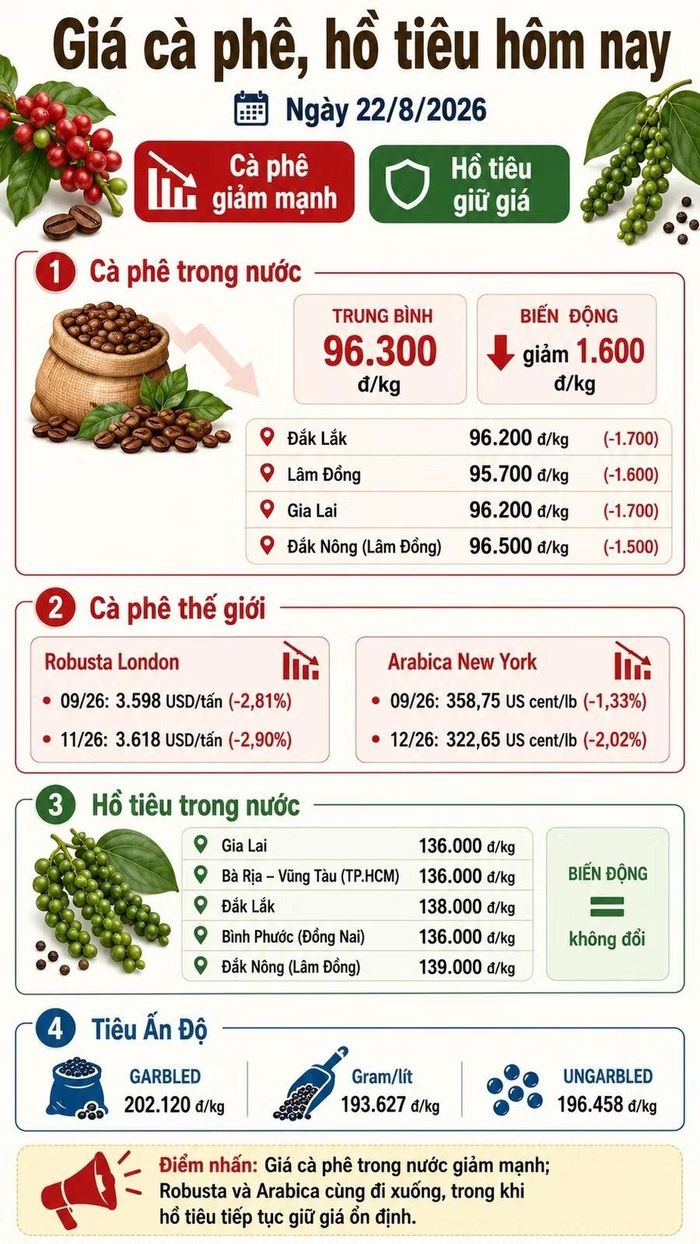 Infographic (AI)