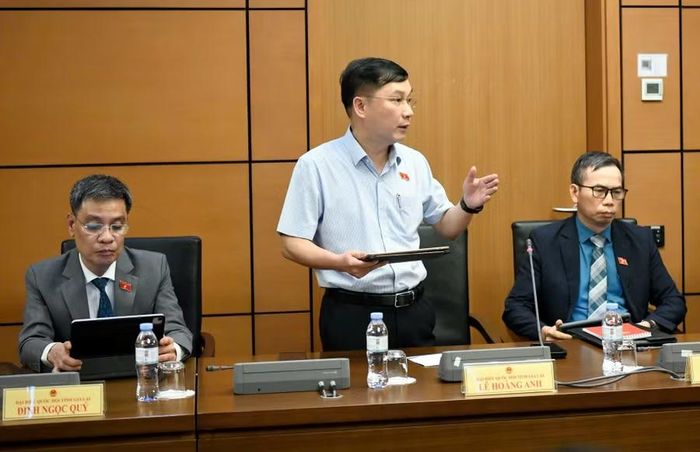 ĐB Lê Hoàng Anh lưu ý về cơ chế báo cáo, giám sát đối với chương trình điện hạt nhân. Ảnh: Đoàn ĐBQH tỉnh