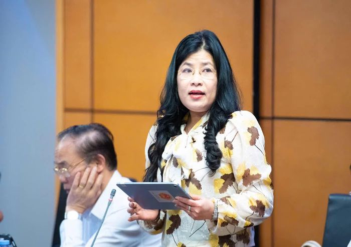 Đồng chí Đàng Thị Mỹ Hương phát biểu thảo luận.