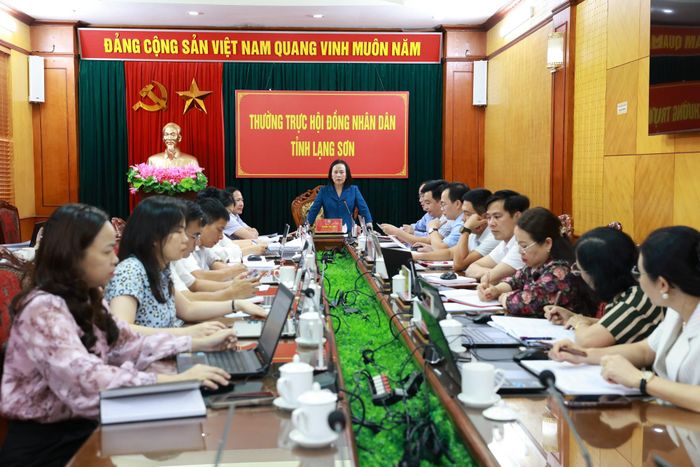 Đồng chí Đoàn Thị Hậu, Phó Bí thư Thường trực Tỉnh ủy, Chủ tịch HĐND tỉnh phát biểu kết luận buổi họp