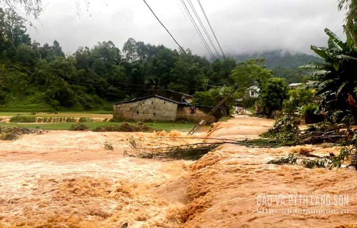 Mưa lớn, nước chảy xiết khiến nhiều cột điện hạ thế bị gãy đổ