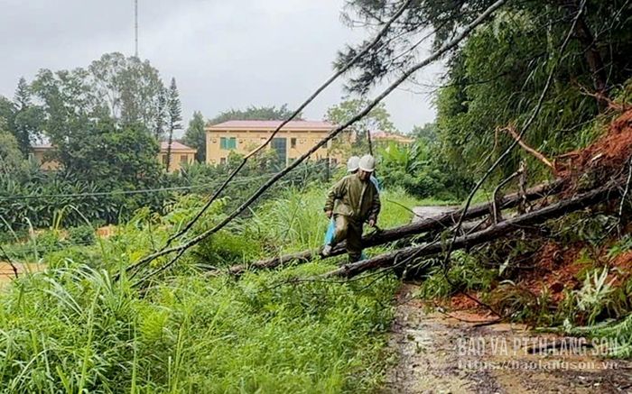 Cán bộ Điện lực Xứ Lạng kiểm tra khu vực cây gãy đổ vào đường dây hạ thế