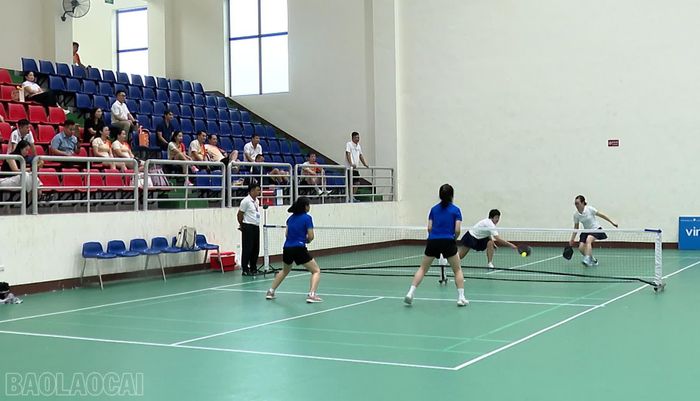 Các vận động viên tranh tài ở 4 nội dung: đôi nam lãnh đạo, đôi nam, đôi nữ và đôi nam nữ.