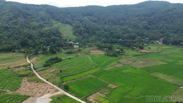 Khu vực quy hoạch dự án Khu công nghiệp Bản Qua.