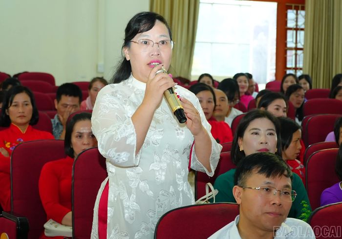 Các đại biểu phát biểu tại hội nghị.