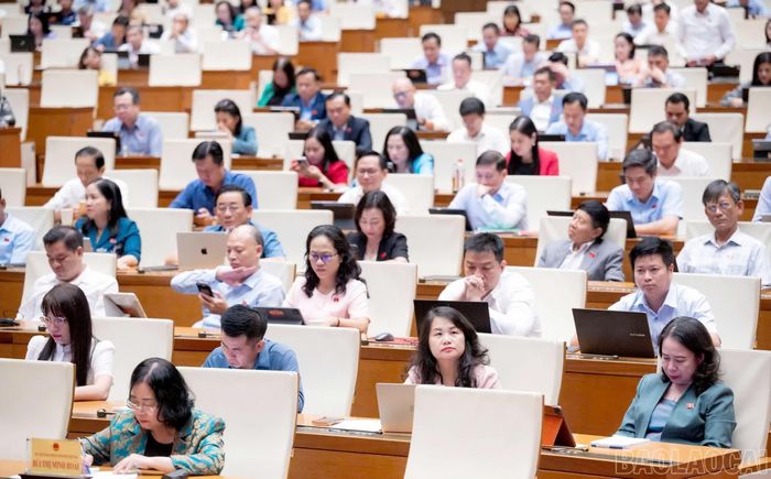 Các đại biểu Quốc hội tham dự phiên họp.