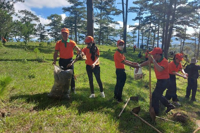 Nhiều công ty phát động nhân viên thu gom rác thải dưới tán rừng, góp phần bảo vệ môi trường Đà Lạt xanh - sạch - đẹp