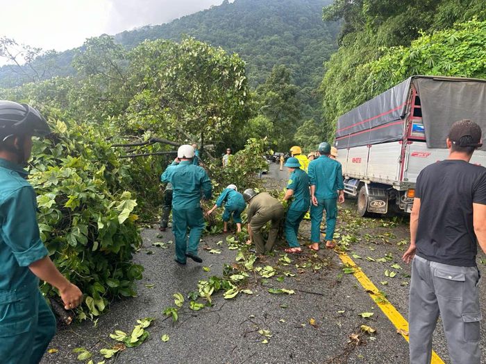 Các cơ quan, đơn vị xã Đạ Huoai 2 triển khai chặt hạ những cây có nguy cơ đổ vào Quốc lộ 20, góp phần bảo đảm an toàn giao thông và hạn chế thiệt hại khi thời tiết diễn biến phức tạp