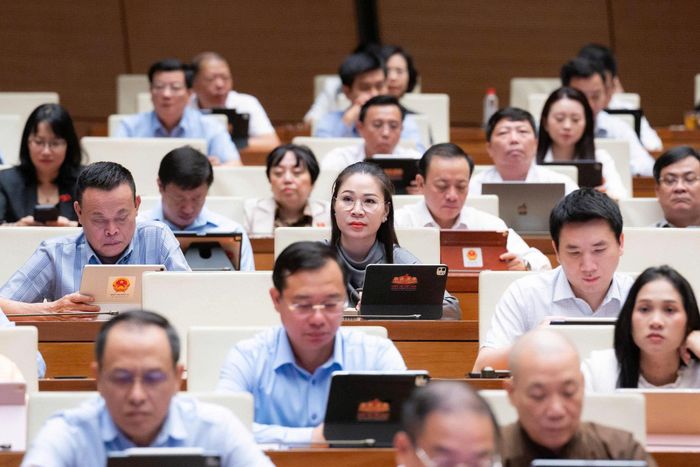 Các đại biểu tham dự
