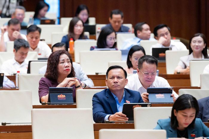 Các đại biểu tham dự