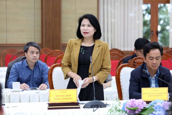 Đồng chí Bùi Thị Tuyết Mai, Phó Giám đốc Sở Tài chính góp ý về nguồn kinh phí chính, nguồn lực xã hội hoá đối với các chương trình dự kiến