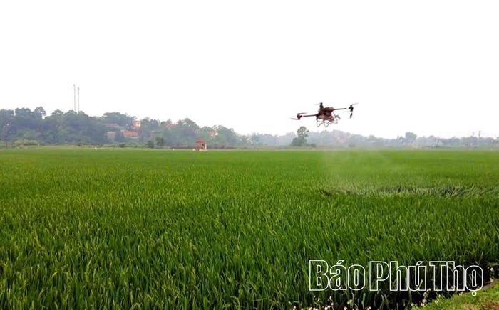 Sử dụng thiết bị bay không người lái phun thuốc bảo vệ thực vật là xu hướng tất yếu giảm công lao động, đẩy mạnh chuyển đổi số, ứng dụng KHKT vào sản xuất.