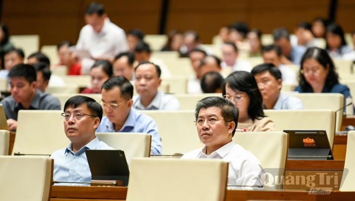 Đoàn đại biểu Quốc hội tỉnh tham dự phiên họp - Ảnh: N.M