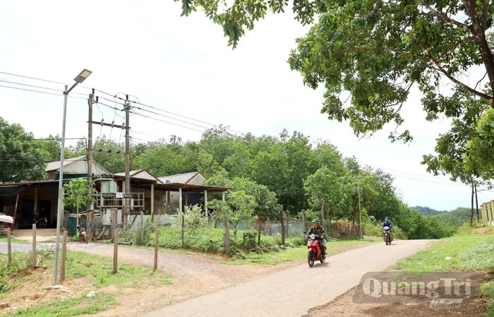 Một góc Đội sản xuất số 5 thuộc Đoàn KTQP 79 hôm nay - Ảnh: V.M