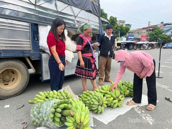 MTTQ xã Kiến Thiết kết nối tiêu thụ sản phẩm nông sản cho người nông dân ra thị trường trong tỉnh.