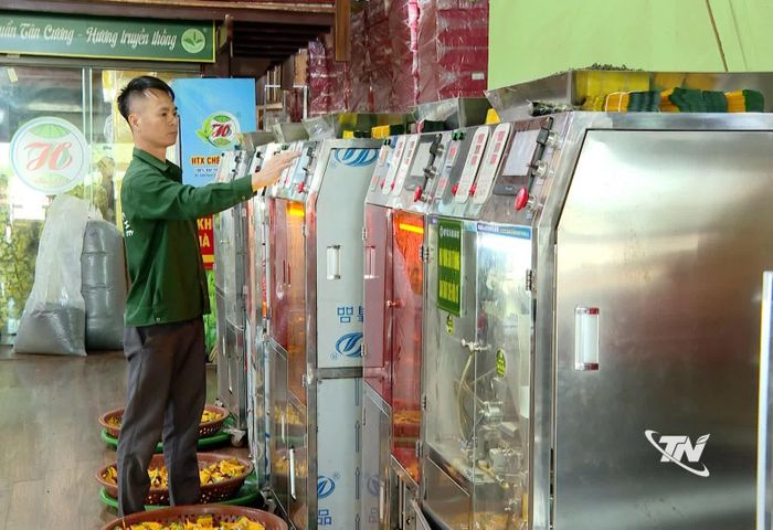 Sản xuất chè đảm bảo quy trình an toàn thực phẩm.