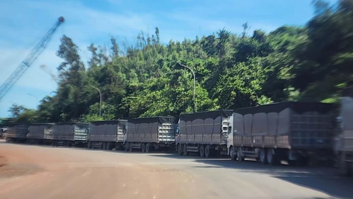 Không chỉ khan hiếm các tài xế lái xe hạng nặng, các doanh nghiệp khác như taxi, hợp đồng cũng thiếu tài xế.