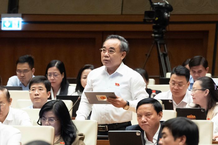 Đại biểu Lê Hữu Trí (đoàn Khánh Hoà). Ảnh: Media Quốc hội.