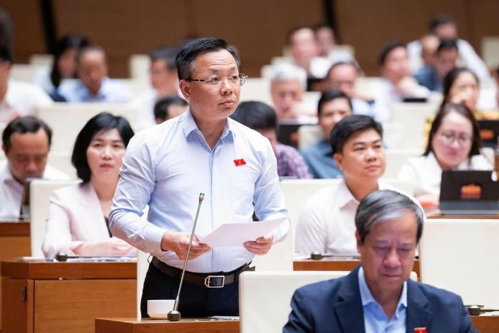 Đại biểu Trần Thanh Hà (đoàn Hà Nội) phát biểu.