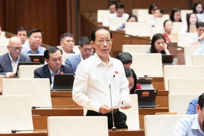 Đại biểu Nguyễn Trúc Sơn phát biểu. Ảnh: Quochoi.vn