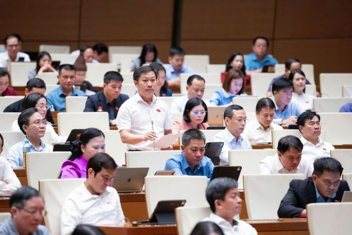 Đại biểu Nguyễn Khánh Vũ (đoàn Quảng Trị) phát biểu.
