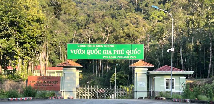 Kiểm điểm trách nhiệm tập thể Ban Giám đốc Vườn Quốc gia Phú Quốc giai đoạn 2020–4/2026.