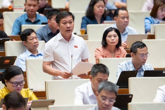 ĐBQH Nguyễn Khánh Vũ (Quảng Trị) phát biểu. Ảnh: Phạm Thắng