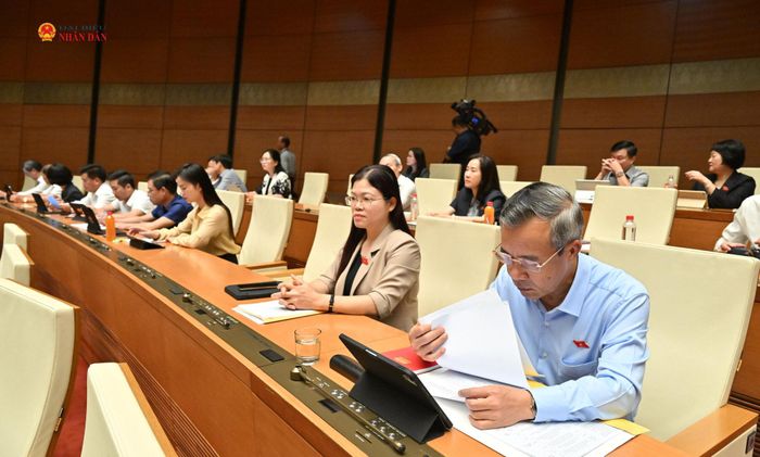 Các đại biểu tham dự phiên thảo luận tại hội trường. Ảnh: Quang Khánh