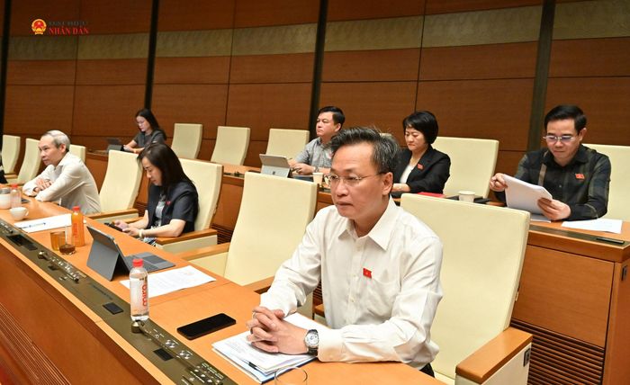 Các đại biểu tham dự phiên thảo luận tại hội trường. Ảnh: Quang Khánh
