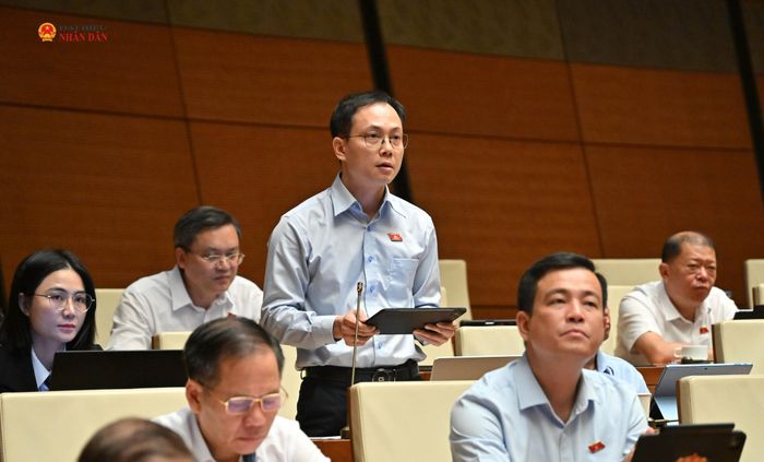ĐBQH Phạm Thế Anh (Thanh Hóa) phát biểu tại hội trường sáng 22/8. Ảnh: Quang Khánh