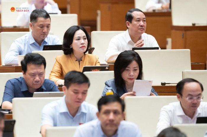 Các đại biểu tham dự phiên thảo luận tại hội trường, sáng 22/8. Ảnh: Phạm Thắng