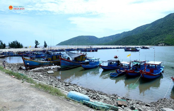 Hà Tĩnh đặt mục tiêu 100% tàu cá từ 6m trở lên ra, vào cảng cá được kiểm soát trên hệ thống eCDT