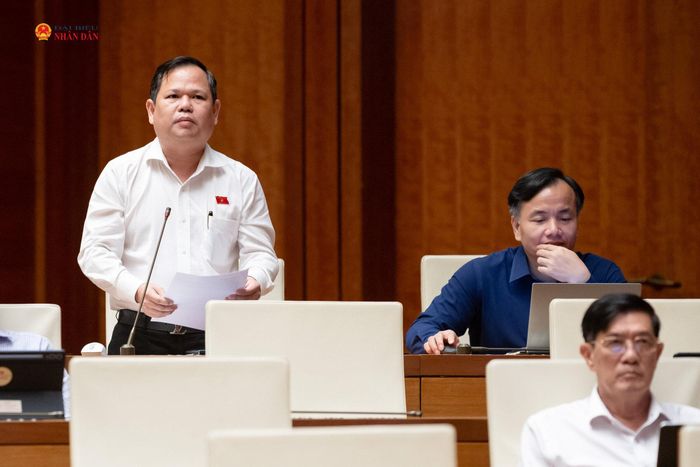 ĐBQH Nguyễn Duy Thanh (Cà Mau) phát biểu. Ảnh: Phạm Thắng