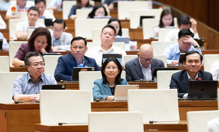 Các đại biểu tham dự phiên họp. Ảnh: Phạm Thắng