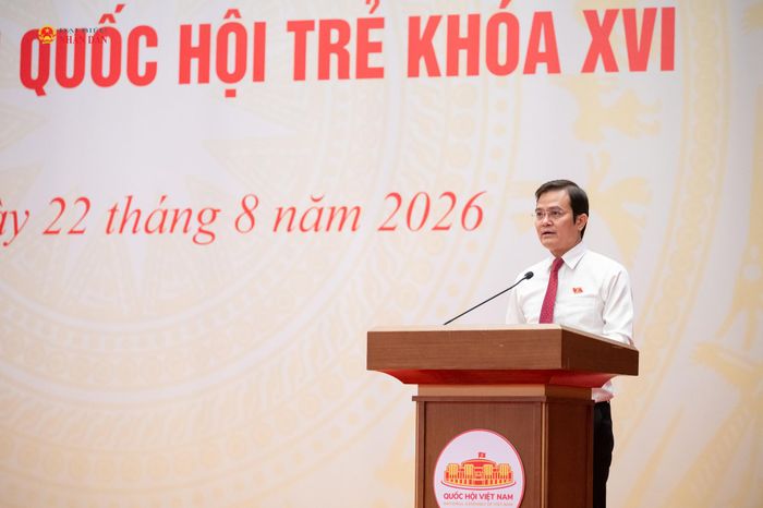 Chủ tịch Nhóm ĐBQH trẻ khóa XVI Bùi Quang Huy phát biểu