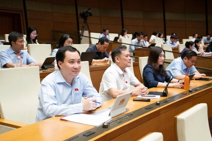 Các đại biểu Quốc hội dự phiên họp.