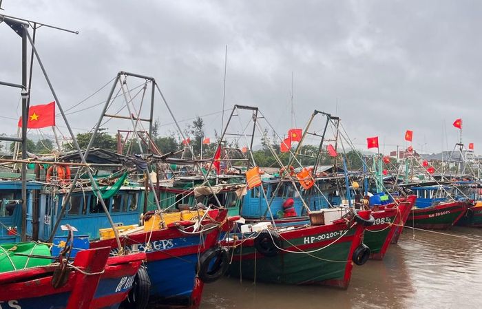 Tàu ngư dân tránh trú tại cảng cá Mắt Rồng (Hải Phòng).