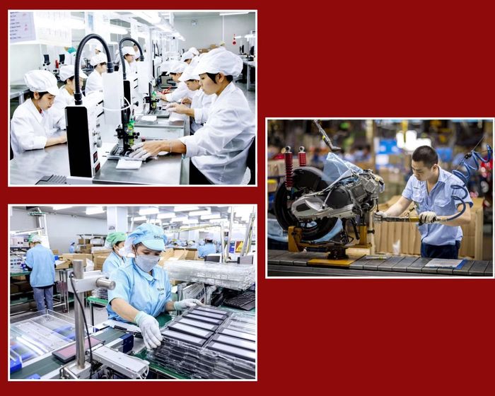 Nguồn nhân lực Việt Nam có lợi thế là trẻ, năng động và tiếp thu nhanh.